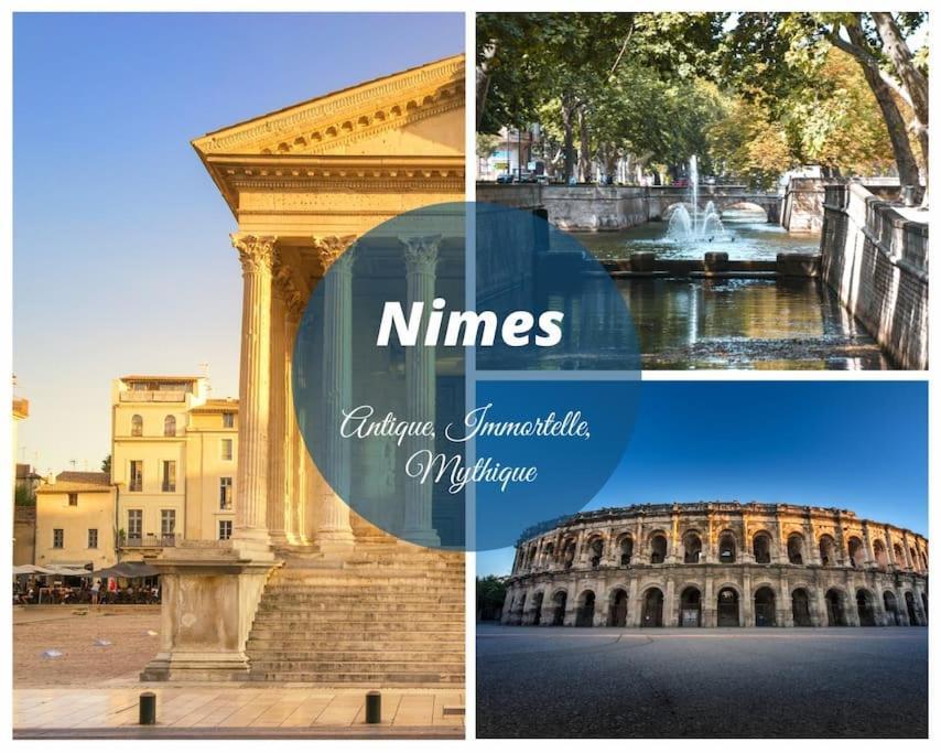 Le Murmure Du Palmier * Mer A 2 Min * Parking Prive * Terrasse Ла-Гранд-Мот Экстерьер фото